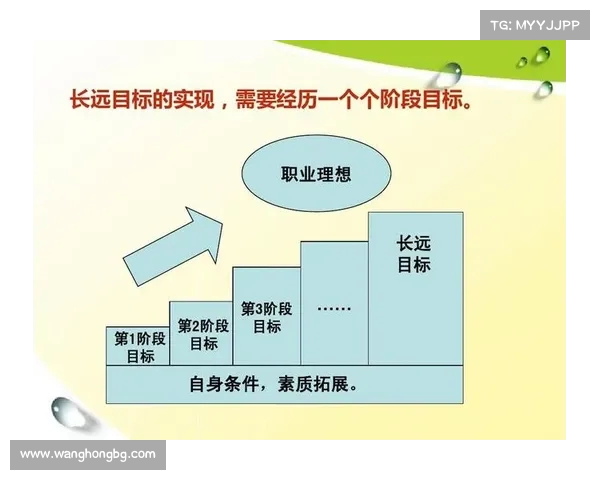 职业生涯规划与发展：从入职到晋升的全方位路径与成功秘诀