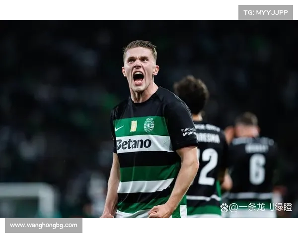 阿森纳长期关注谢什科 贝尔塔上任后转向哲凯赖什引援计划