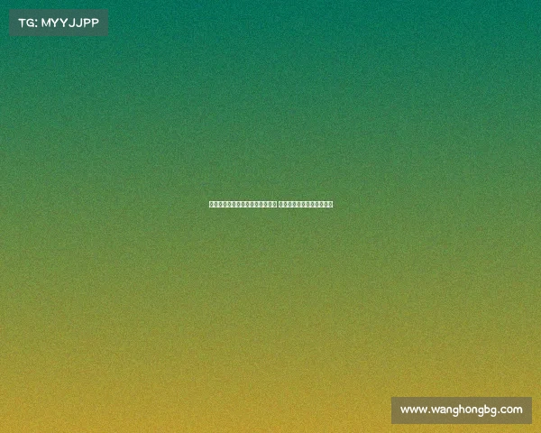 阿森纳新赛季阵容解析与战术布局 深度剖析球队未来发展方向