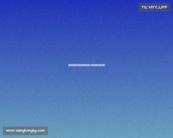 毛剑卿直言米内罗更适合申花体系 称马莱莱不符球队需求