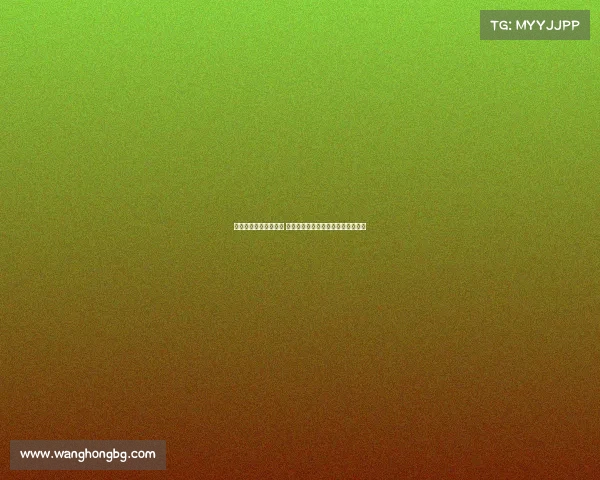 阿森纳长期关注谢什科 贝尔塔上任后转向哲凯赖什引援计划