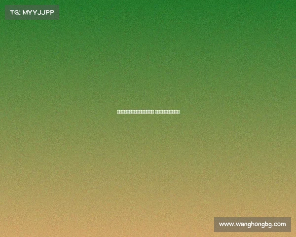 毛剑卿直言米内罗更适合申花体系 称马莱莱不符球队需求 毛剑卿直言米内罗更适合申花体系 称马莱莱不符球队需求