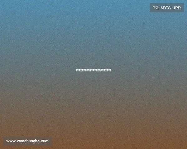 葡体主帅回应哲凯赖什离队：球员更替是足球常态