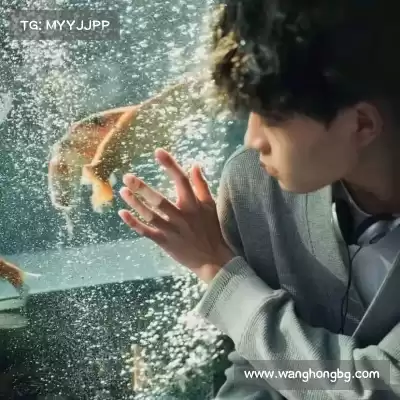 常东连